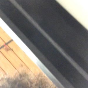 Meet your Posher, Will